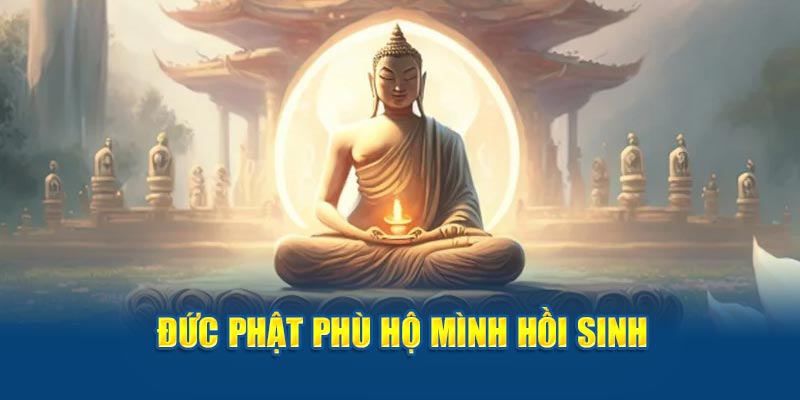 Đức phật phù hộ mình hồi sinh 